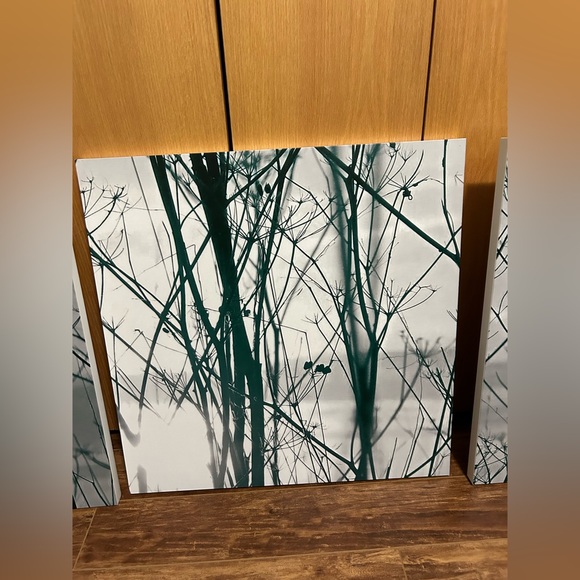 3 Canvas Wall Art - Picture 3 of 7